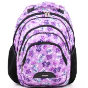 Рюкзак школьный Dolly 503