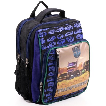 Рюкзак школьный Bagland 11270-25