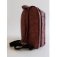 Міський рюкзак THE WORLD IS MINE колір бордо-нікель Alba Soboni