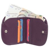 Жіночий гаманць Canpellini 715-95
