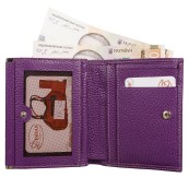 Жіночий гаманць Desisan 105-413