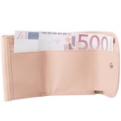 Жіночий гаманць Desisan 129-606
