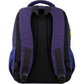 Рюкзак школьный GoPack GO20-113M-6