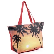 Пляжна сумка Dilan 804