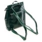 Місткий зелений рюкзак з щільної шкіри Alex Rai