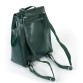 Рюкзак зеленого кольору з натуральної шкіри Alex Rai