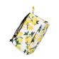 Рюкзак для ручной клади Airport 30x40x20см Wizz Air / МАУ с лимонами Poolparty