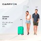 Чемодан Connect (S) Green CarryOn