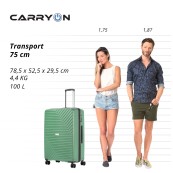 Дорожня валіза CarryOn 927740