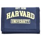 гаманець Гарвард Yes!